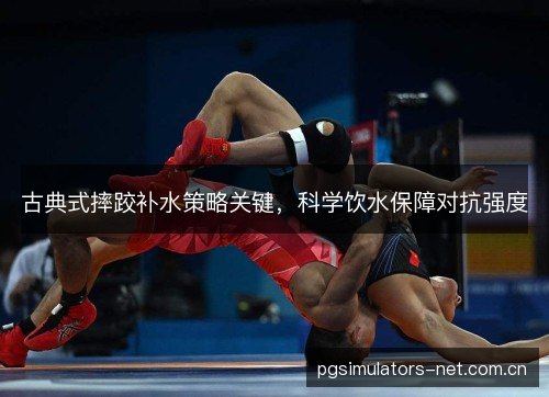 古典式摔跤补水策略关键，科学饮水保障对抗强度